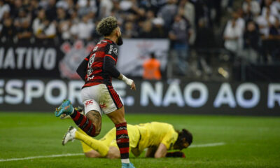 (Foto: Marcelo Cortes/Flamengo)